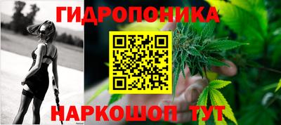 прущие грибы Будённовск