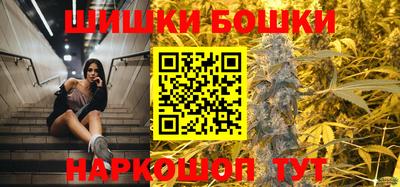 прущие грибы Будённовск