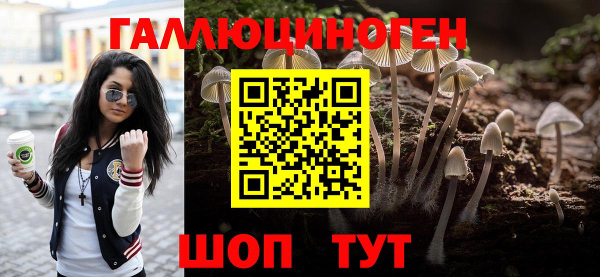 Галлюциногенные грибы Psilocybine cubensis Людиново